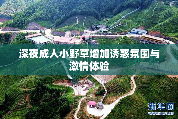 深夜成人小野草增加诱惑氛围与激情体验