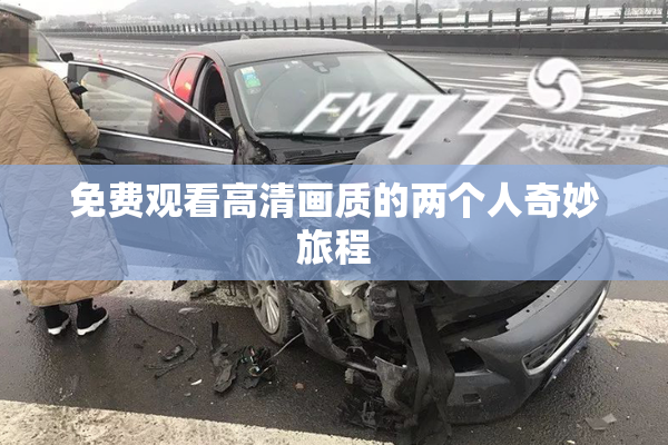 免费观看高清画质的两个人奇妙旅程