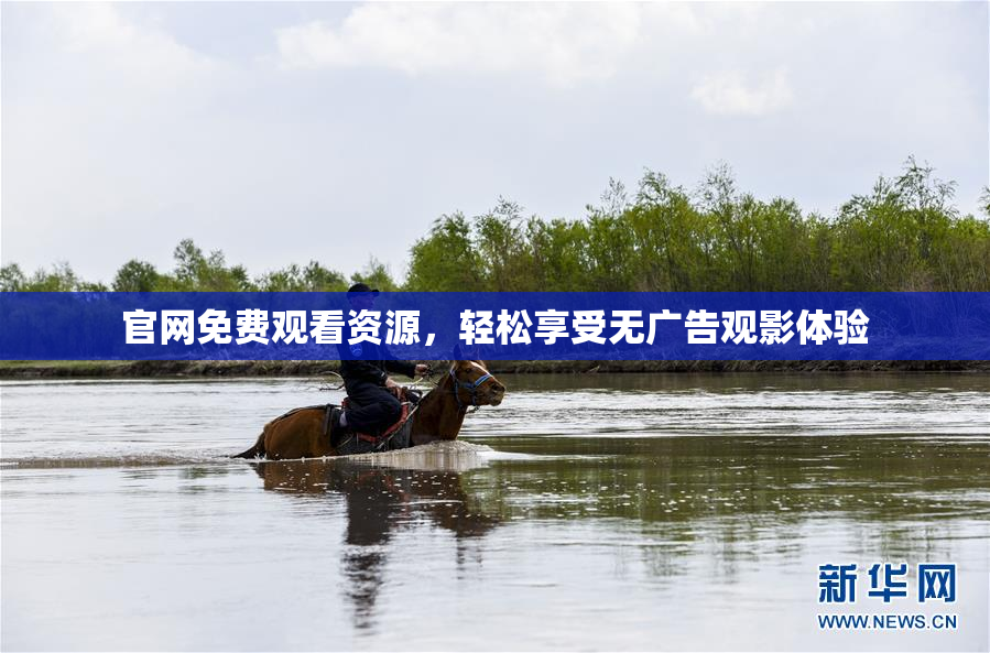 官网免费观看资源，轻松享受无广告观影体验