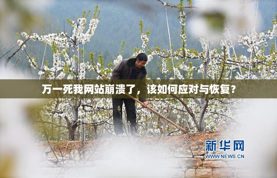万一死我网站崩溃了，该如何应对与恢复？