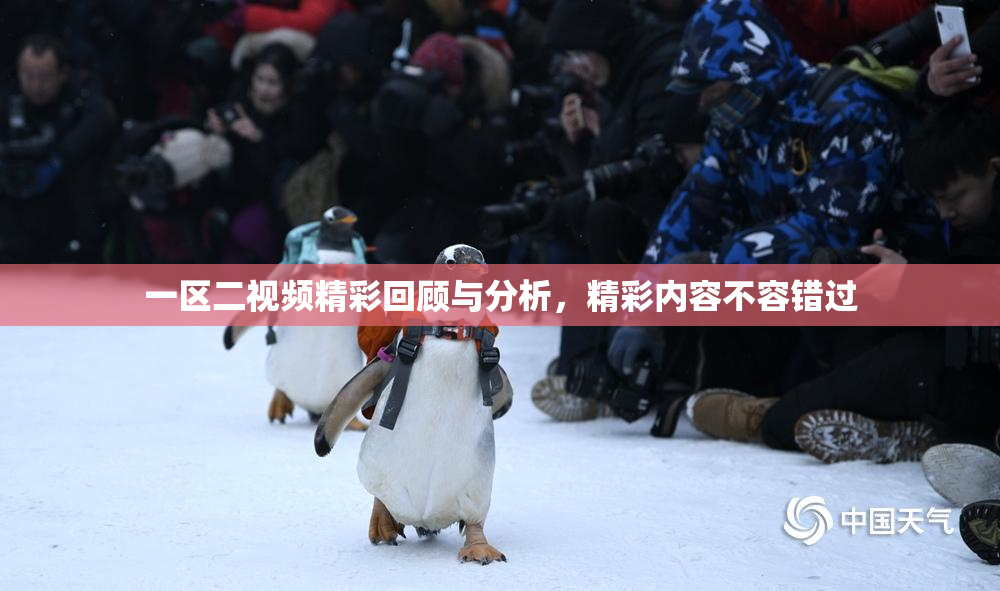 一区二视频精彩回顾与分析，精彩内容不容错过
