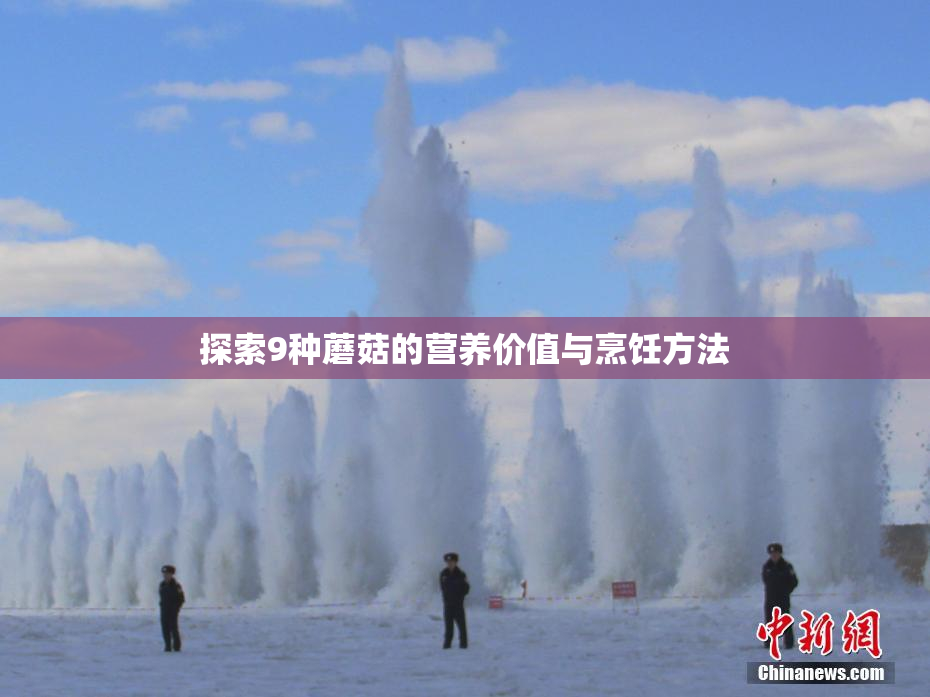 探索9种蘑菇的营养价值与烹饪方法