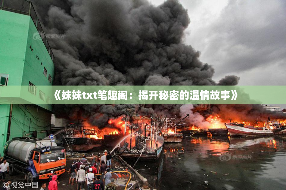 《妹妹txt笔趣阁：揭开秘密的温情故事》
