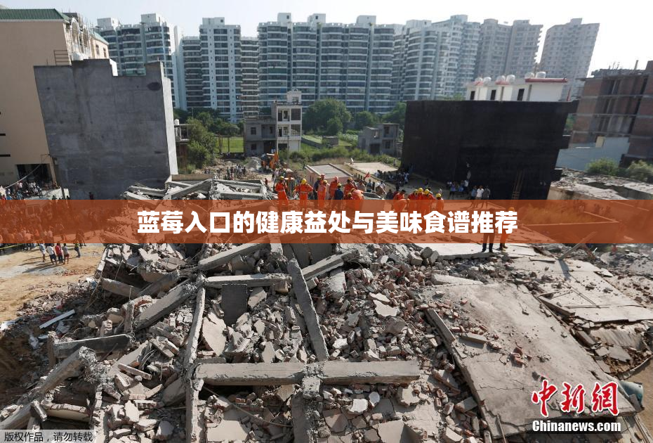 蓝莓入口的健康益处与美味食谱推荐