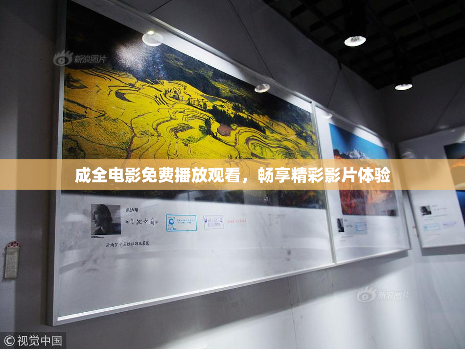 成全电影免费播放观看，畅享精彩影片体验