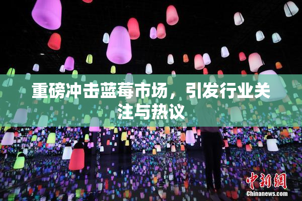 重磅冲击蓝莓市场，引发行业关注与热议