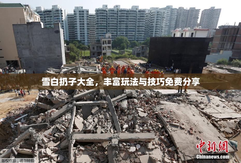 雪白扔子大全，丰富玩法与技巧免费分享