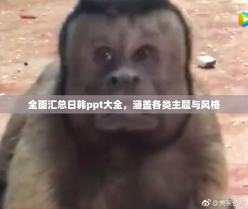 全面汇总日韩ppt大全，涵盖各类主题与风格