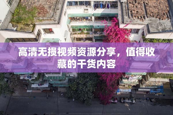 高清无损视频资源分享，值得收藏的干货内容