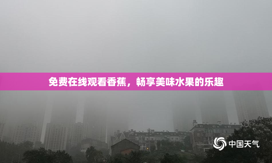 免费在线观看香蕉，畅享美味水果的乐趣