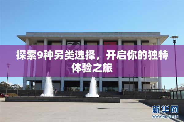 探索9种另类选择，开启你的独特体验之旅