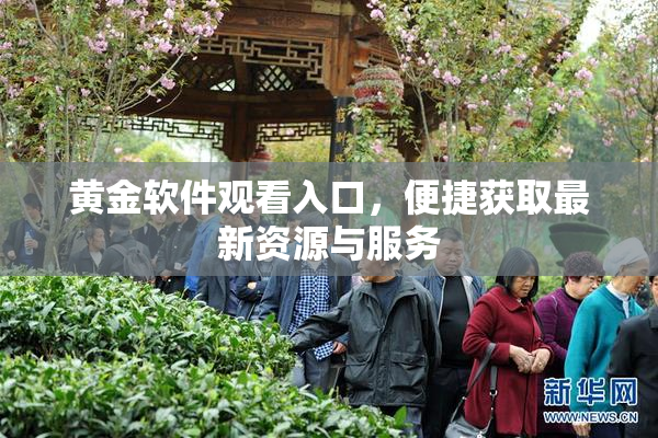 黄金软件观看入口，便捷获取最新资源与服务