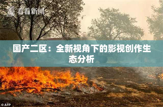 国产二区：全新视角下的影视创作生态分析