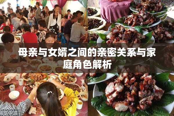 母亲与女婿之间的亲密关系与家庭角色解析