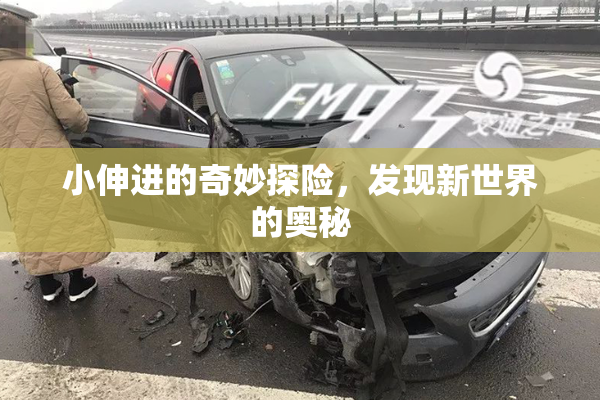 小伸进的奇妙探险，发现新世界的奥秘