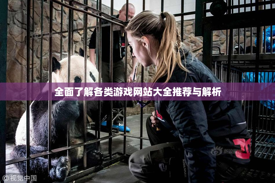 全面了解各类游戏网站大全推荐与解析