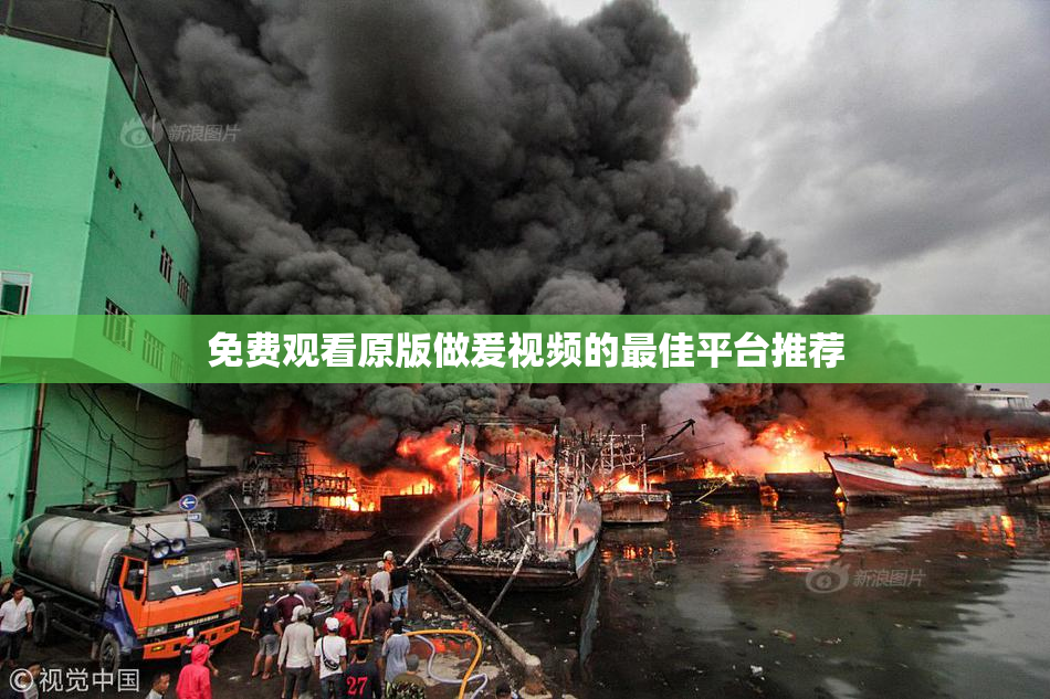 免费观看原版做爰视频的最佳平台推荐