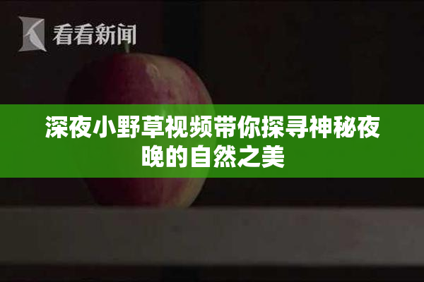 深夜小野草视频带你探寻神秘夜晚的自然之美
