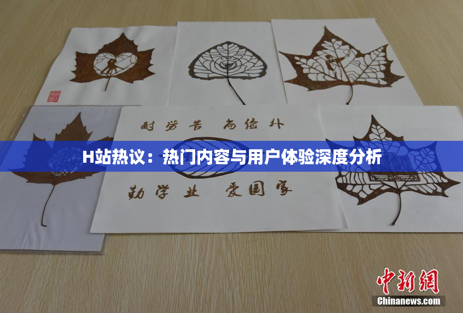 H站热议：热门内容与用户体验深度分析