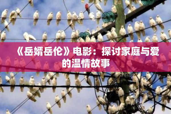 《岳婿岳伦》电影：探讨家庭与爱的温情故事