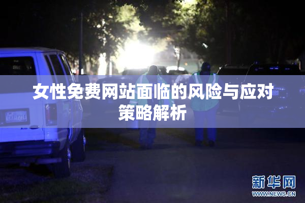 女性免费网站面临的风险与应对策略解析