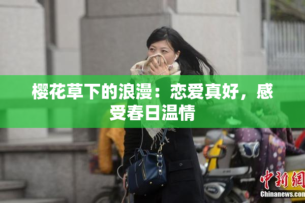 樱花草下的浪漫：恋爱真好，感受春日温情