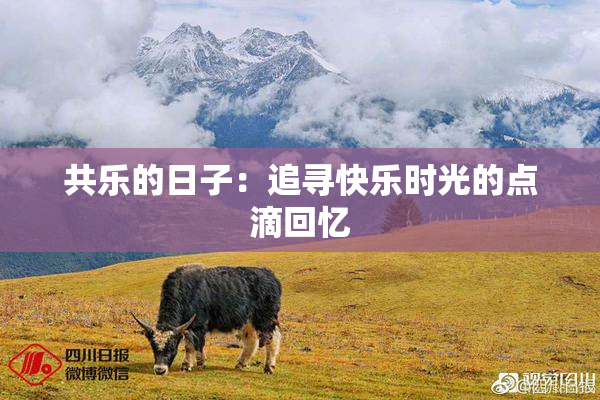 共乐的日子：追寻快乐时光的点滴回忆