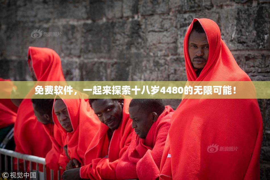 免费软件，一起来探索十八岁4480的无限可能！