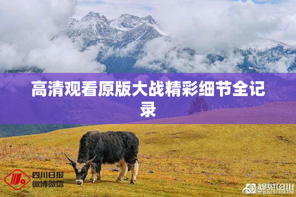 高清观看原版大战精彩细节全记录