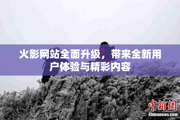 火影网站全面升级，带来全新用户体验与精彩内容