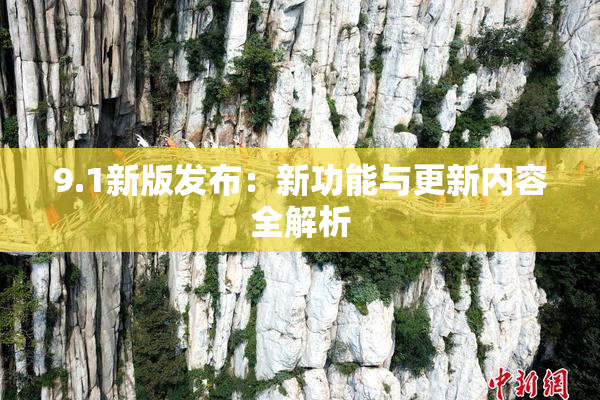 9.1新版发布：新功能与更新内容全解析