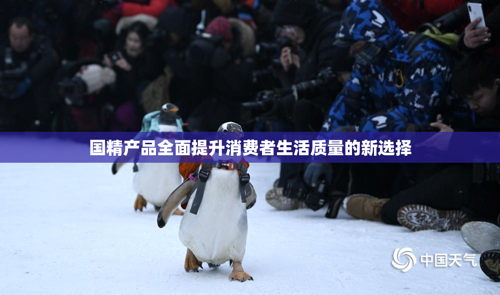 国精产品全面提升消费者生活质量的新选择