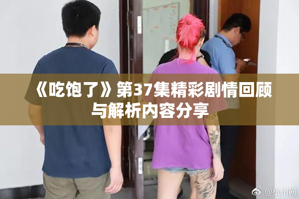《吃饱了》第37集精彩剧情回顾与解析内容分享