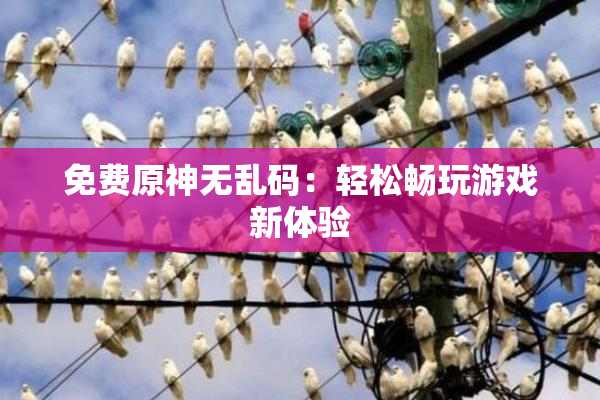 免费原神无乱码：轻松畅玩游戏新体验