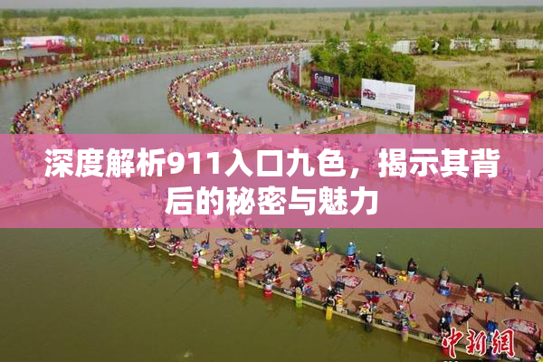 深度解析911入口九色，揭示其背后的秘密与魅力
