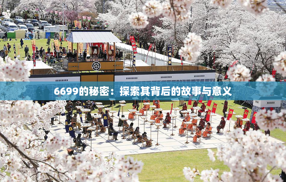 6699的秘密：探索其背后的故事与意义