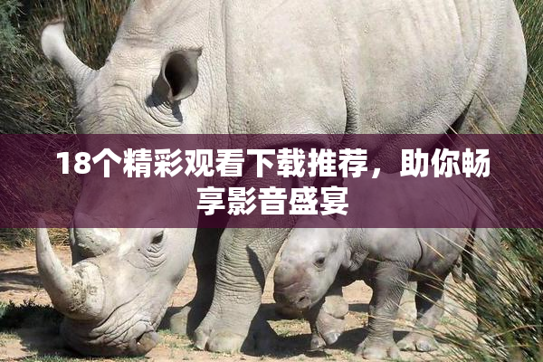 18个精彩观看下载推荐，助你畅享影音盛宴