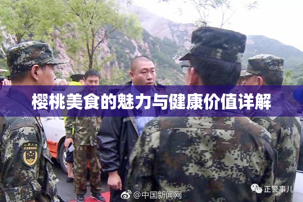 樱桃美食的魅力与健康价值详解