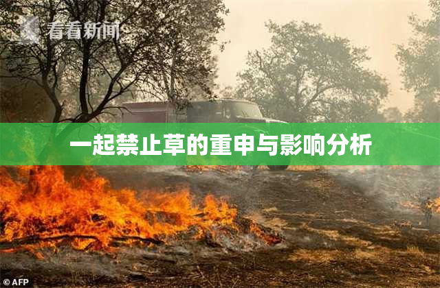 一起禁止草的重申与影响分析