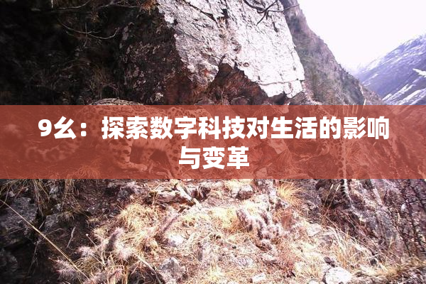 9幺：探索数字科技对生活的影响与变革