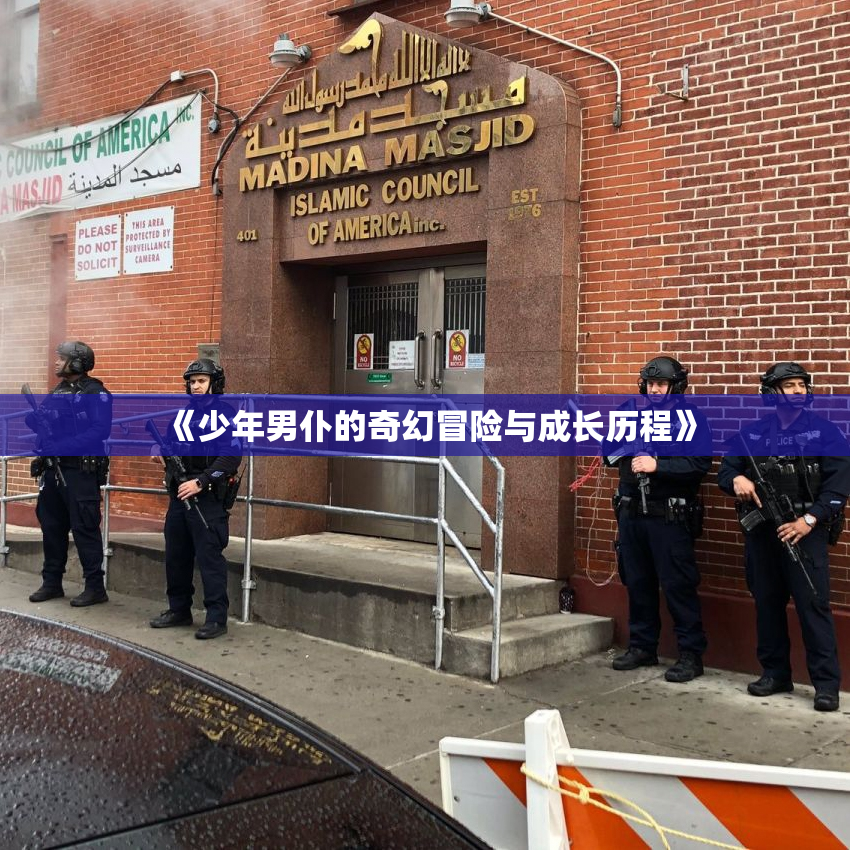 《少年男仆的奇幻冒险与成长历程》