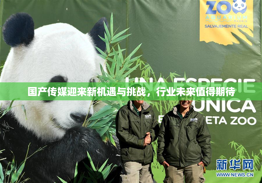 国产传媒迎来新机遇与挑战，行业未来值得期待