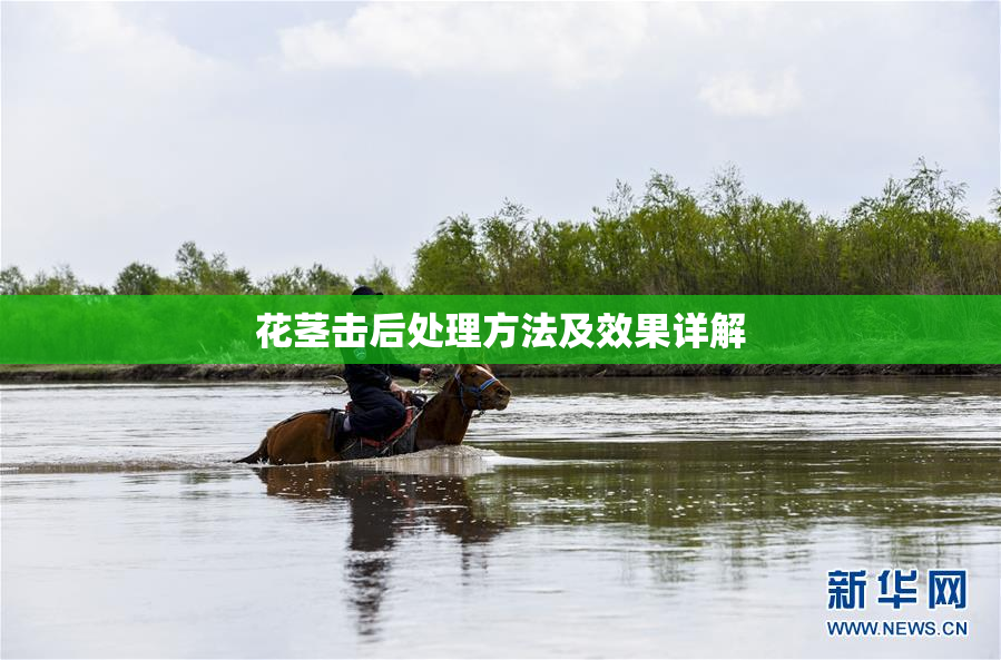 花茎击后处理方法及效果详解