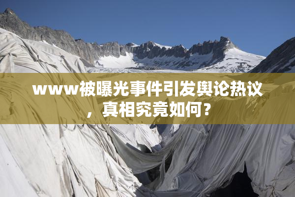 www被曝光事件引发舆论热议，真相究竟如何？
