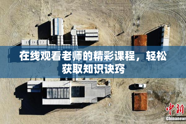 在线观看老师的精彩课程，轻松获取知识诀窍