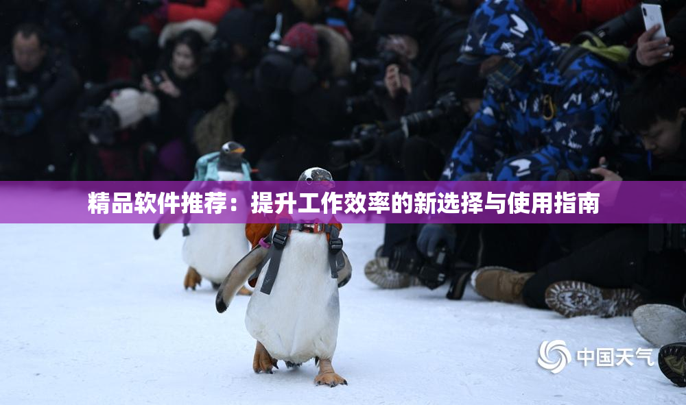 精品软件推荐：提升工作效率的新选择与使用指南