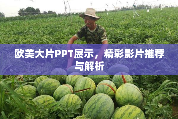 欧美大片PPT展示，精彩影片推荐与解析