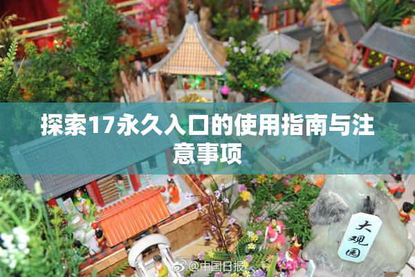 探索17永久入口的使用指南与注意事项