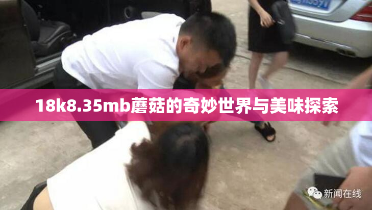 18k8.35mb蘑菇的奇妙世界与美味探索