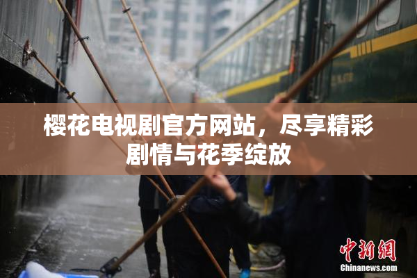 樱花电视剧官方网站，尽享精彩剧情与花季绽放